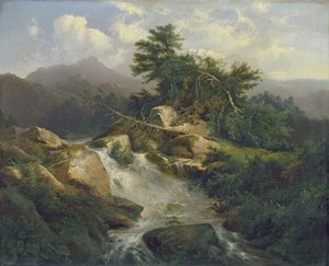 Skoglandskap med foss